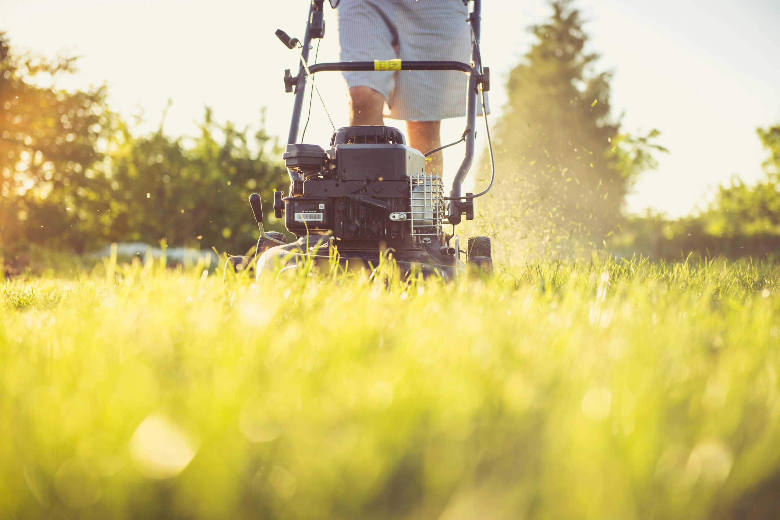 Gazon onderhoud met een grasmaaier in de tuin