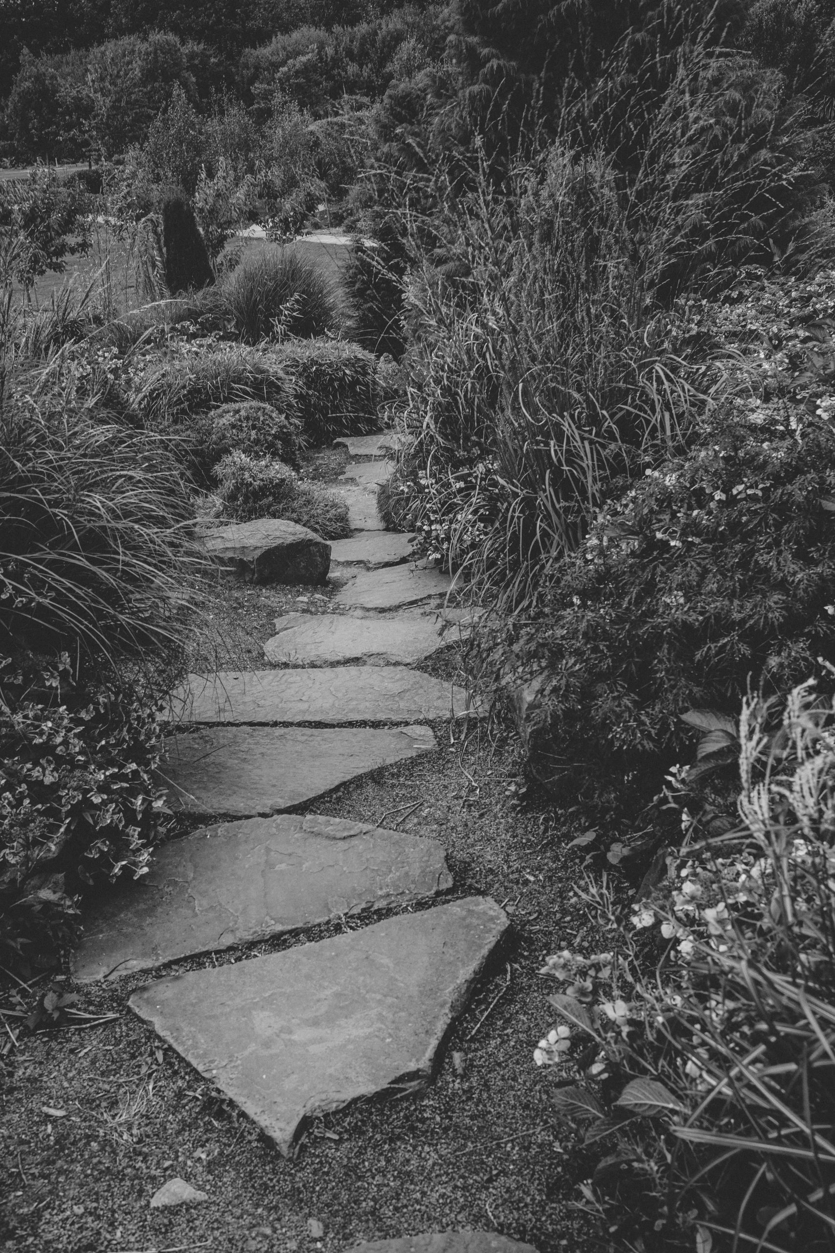 Natuursteen pad in een rustige groene tuin
